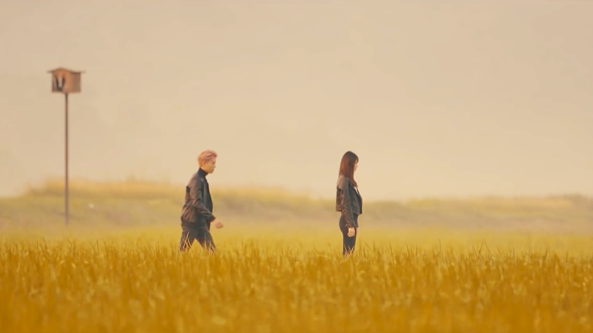 <p>Madison 刘汉杰 - 「其實你不愛我」 MV 2019</p>